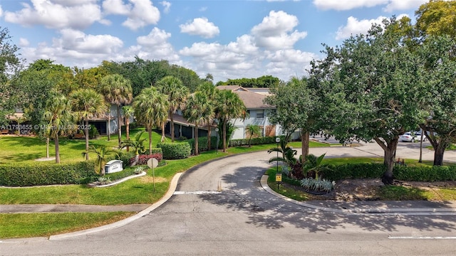 view of community featuring a lawn and curved driveway