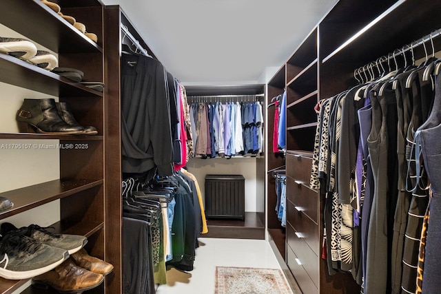 view of walk in closet