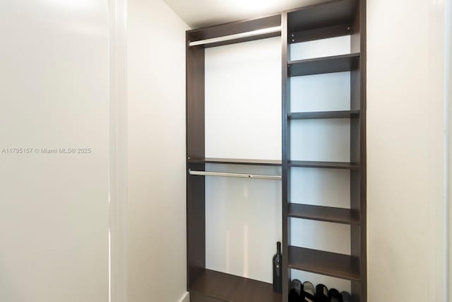 view of closet