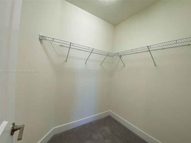 10250 NW 66th St Unit 103, Doral, FL 33178 - spacious closet with dark colored carpet