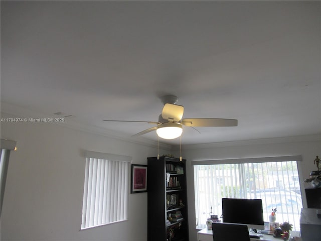 office space with crown molding and ceiling fan
