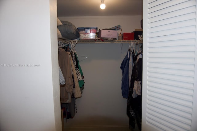 view of spacious closet