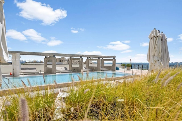 view of swimming pool