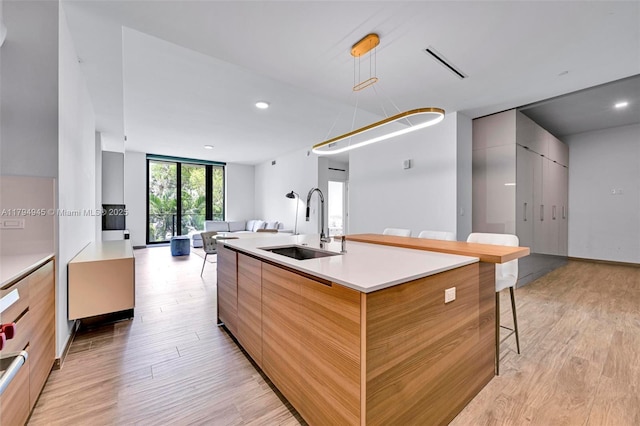 kitchen featuring open floor plan, a sink, modern cabinets, and light wood-style floors