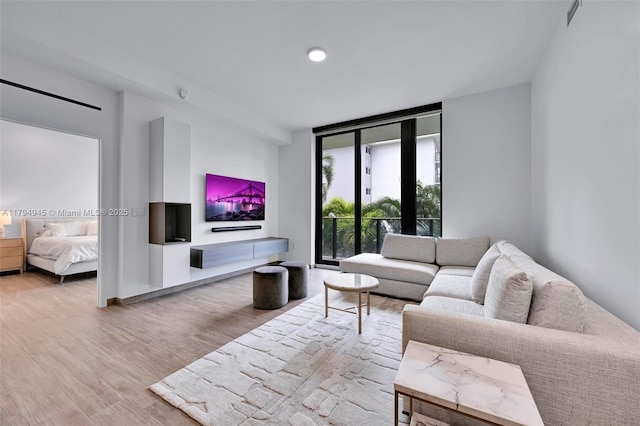 living room featuring wood finished floors