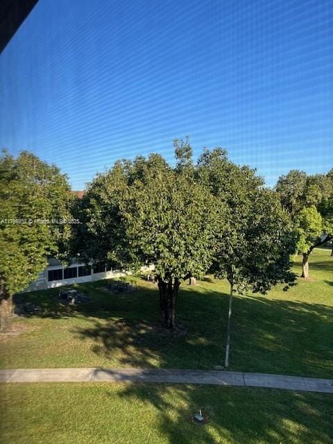 surrounding community with a yard