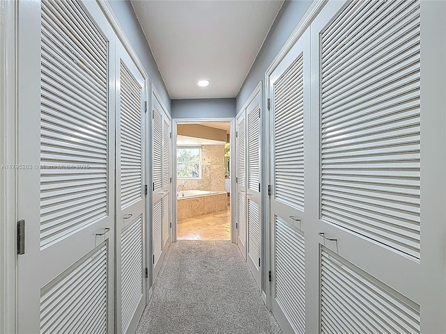 hall with carpet