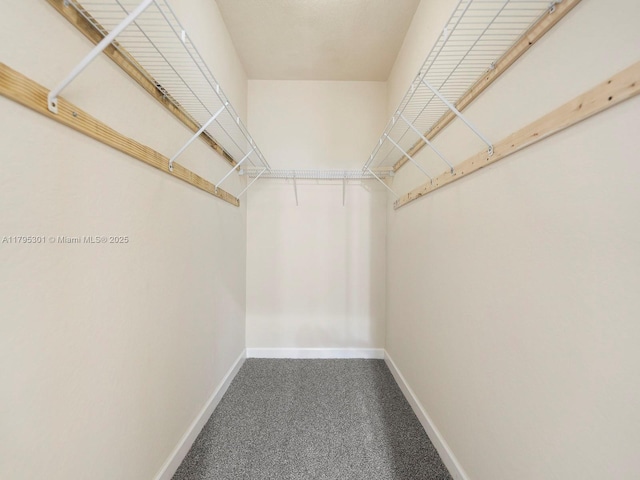 1416 SE 26th Ave, Homestead, FL 33035 - view of walk in closet