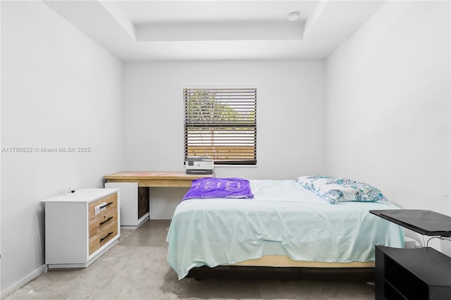 bedroom featuring a tray ceiling and light carpet