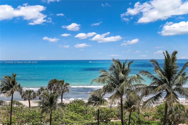 property view of water