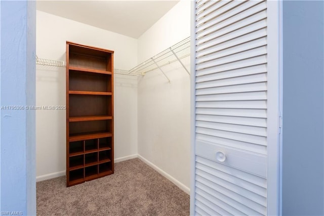 walk in closet featuring carpet floors