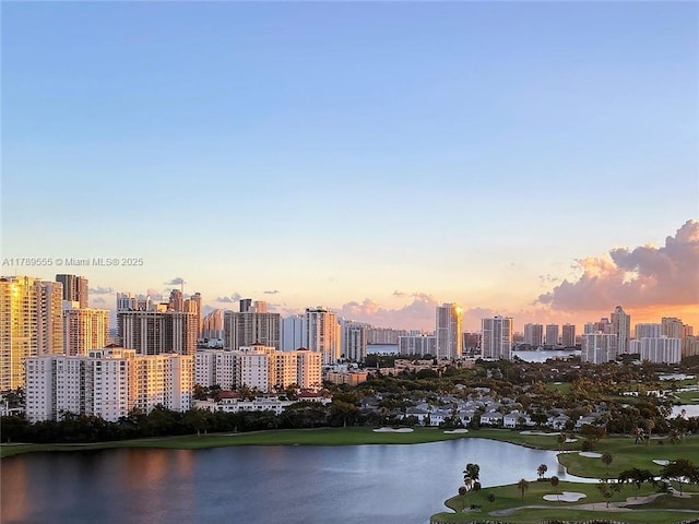 3625 N Country Club Dr Unit 2505, Aventura, FL 33180 - photo 28