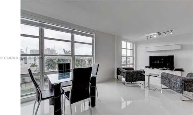 dining space with rail lighting