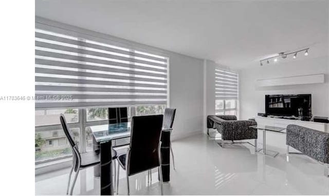 dining area with rail lighting and a wealth of natural light