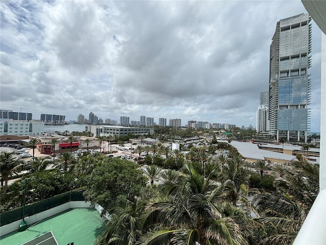property view of water featuring a city view