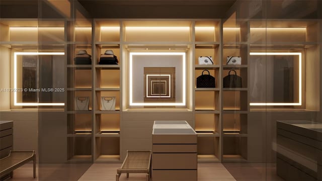 view of walk in closet