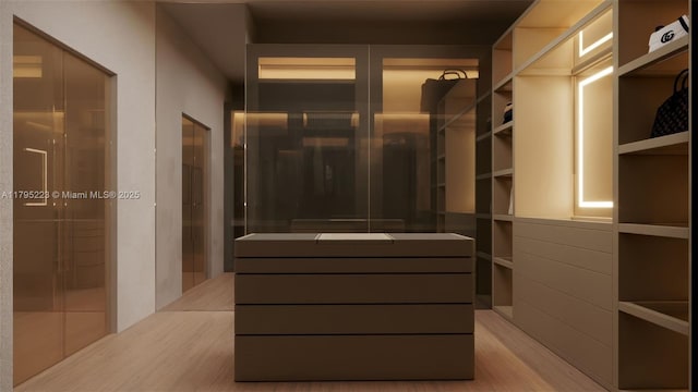 spacious closet featuring wood finished floors