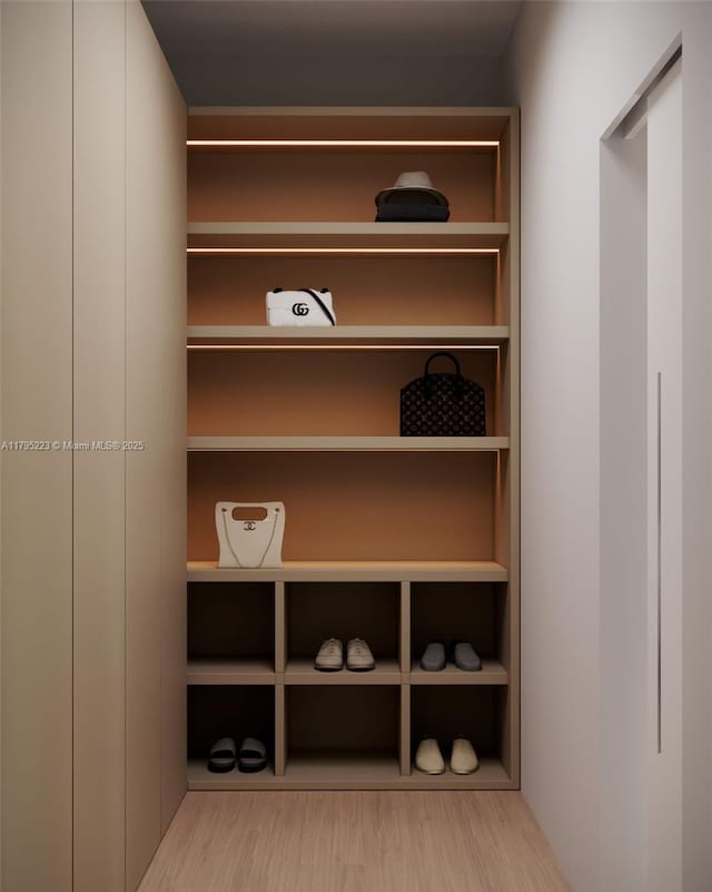 view of closet