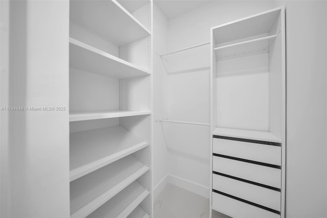 1427 NW 17th St, Cape Coral, FL 33993 - view of spacious closet
