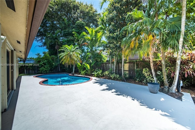 13150 SW 106th St, Miami, FL 33186 - view of pool with a patio, a fenced in pool, and a fenced backyard