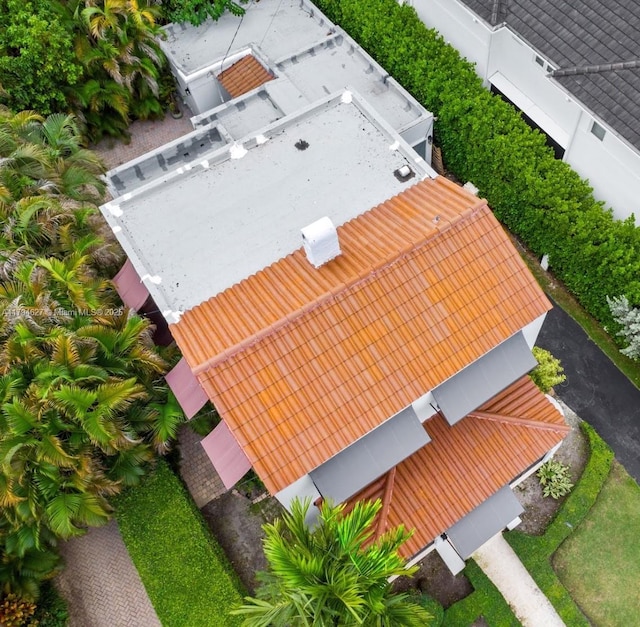 aerial view