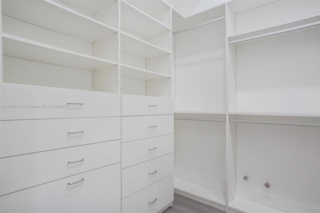 12307 NW 49th St, Coral Springs, FL 33076 - walk in closet featuring wood finished floors