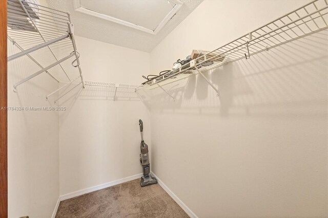 26136 Explorer St, Punta Gorda, FL 33983 - spacious closet featuring carpet