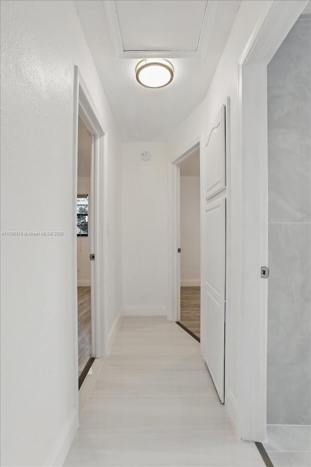 6800 Hope St, Hollywood, FL 33024 - hallway with baseboards and light wood-style flooring