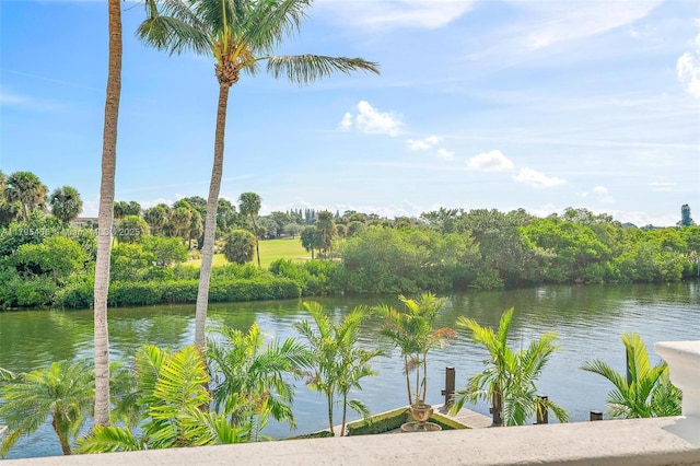 water view