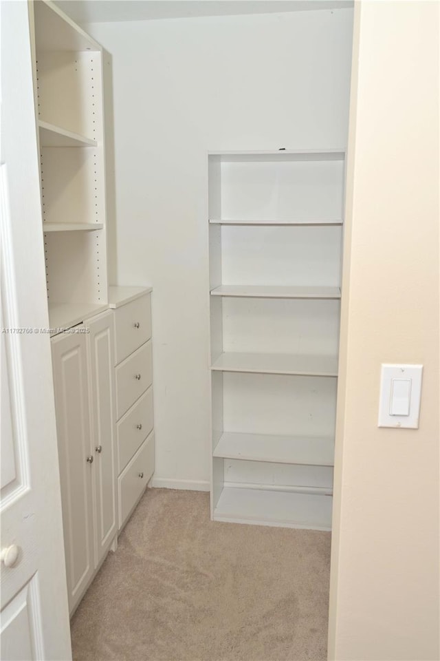 6777 NW 44th Ct, Coral Springs, FL 33067 - walk in closet with light carpet