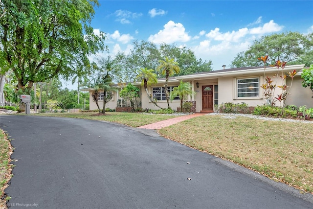 single story home featuring stucco siding and a front lawn