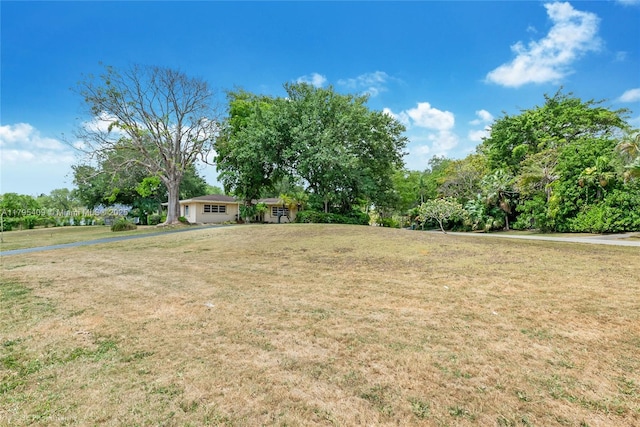 view of yard