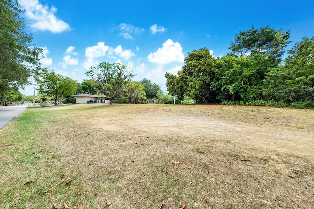 view of yard