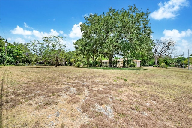 view of yard