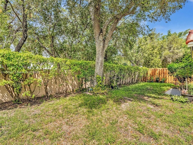 102 Gables Blvd, Weston, FL 33326 - view of yard