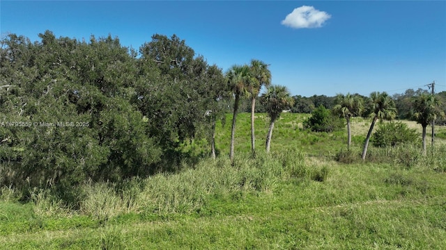 view of landscape