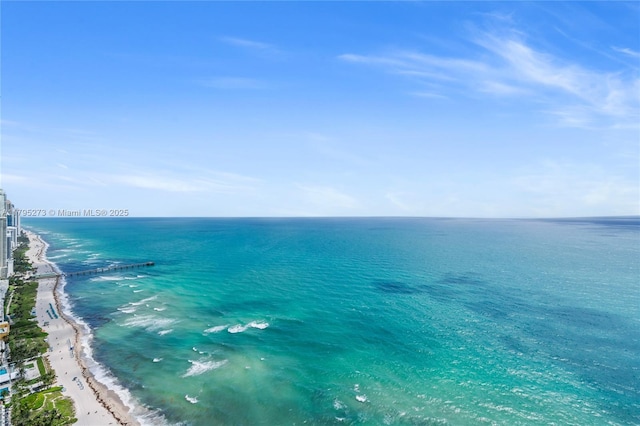 water view with a view of the beach