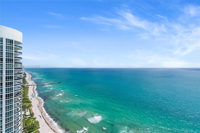 view of water feature featuring a beach view