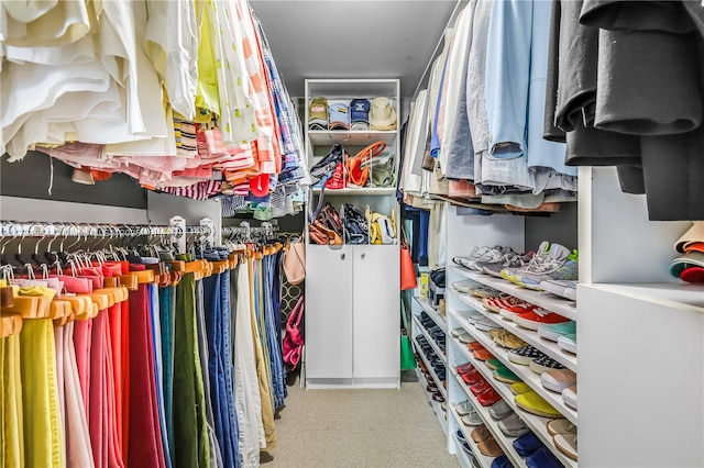 walk in closet featuring carpet flooring