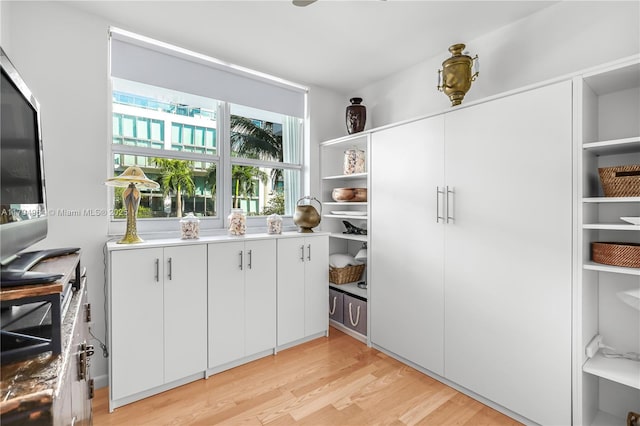 interior space featuring light wood finished floors