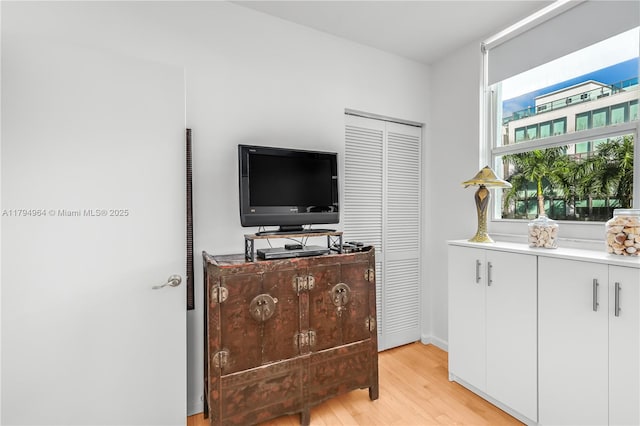 interior space with light wood-style floors, baseboards, and a closet