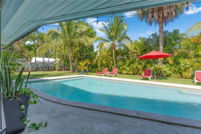 pool featuring a patio area and a yard