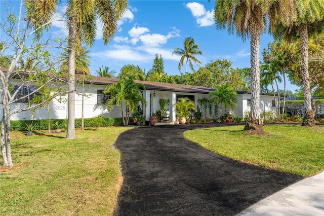 single story home featuring driveway, a front yard, and stucco siding