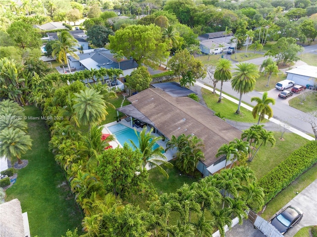 drone / aerial view
