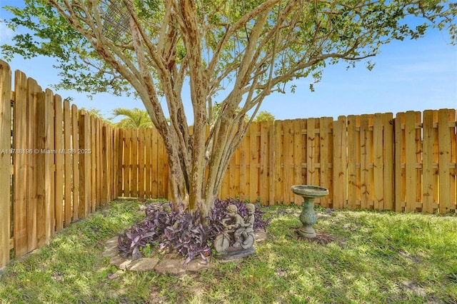 view of yard with a fenced backyard