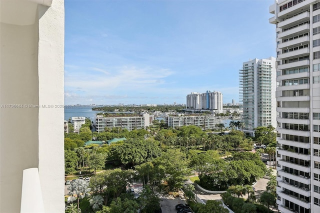 property's view of city
