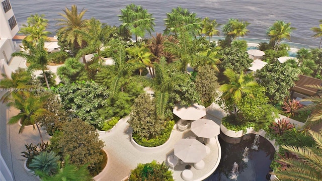 aerial view