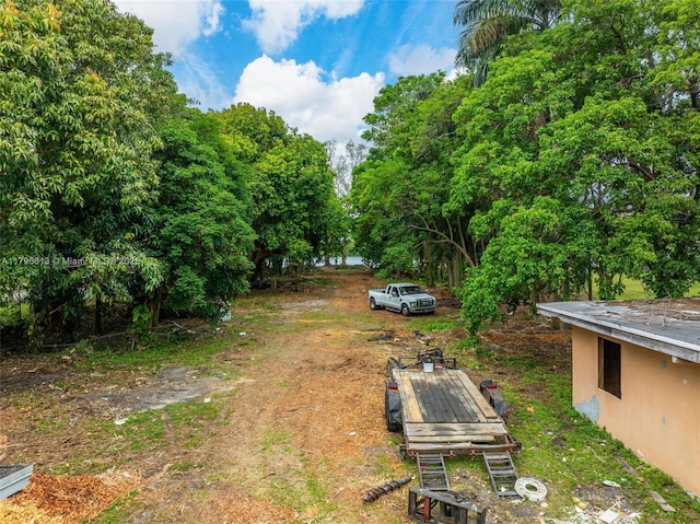 15100 NW River Dr, Miami, FL 33169 - view of yard