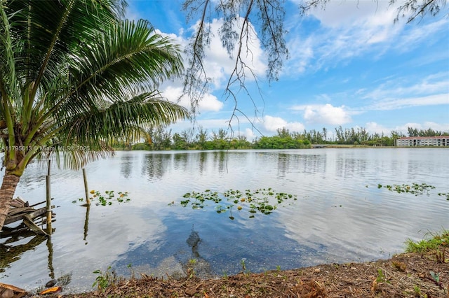 15100 NW River Dr, Miami, FL 33169 - water view