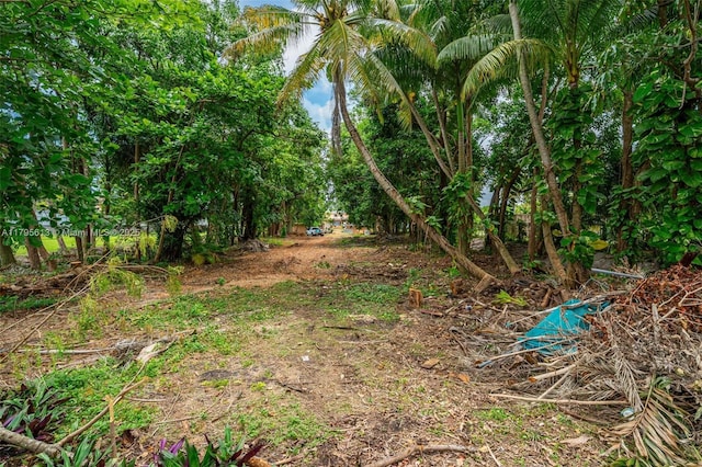 15100 NW River Dr, Miami, FL 33169 - view of nature